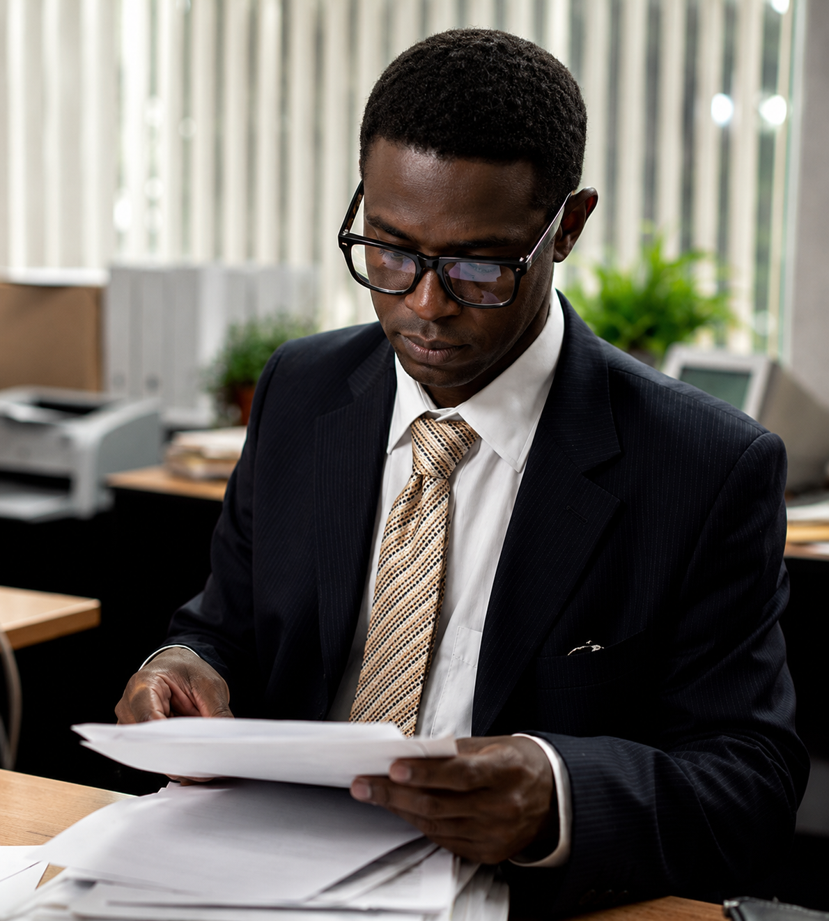 Professional Lawyer